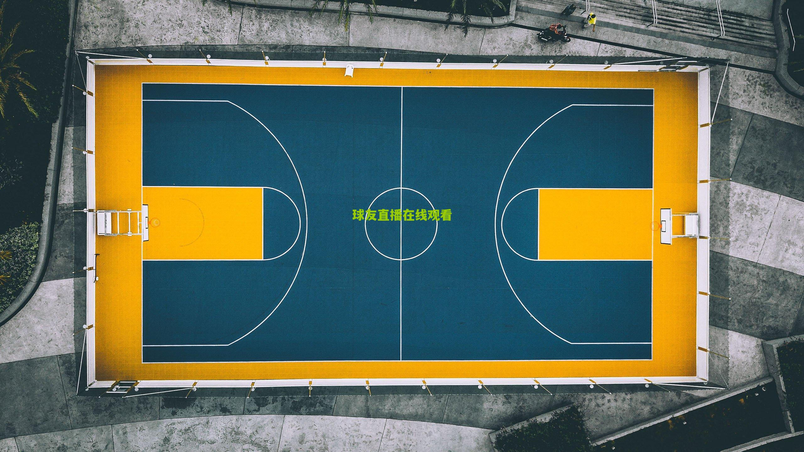 林书豪重返NBA发展联盟选拔队训练,CBA前景再添变数